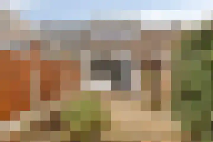 Klingendaal 3 Pijnacker thumbnail 4