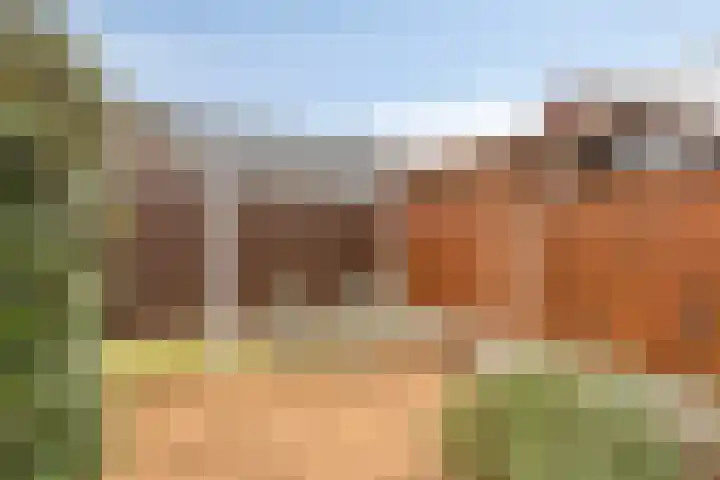 Klingendaal 3 Pijnacker thumbnail 47