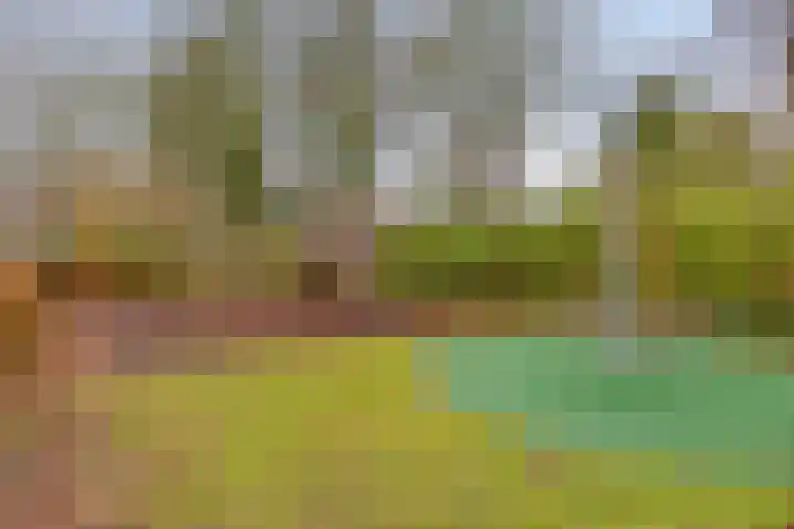 Klingendaal 3 Pijnacker thumbnail 53