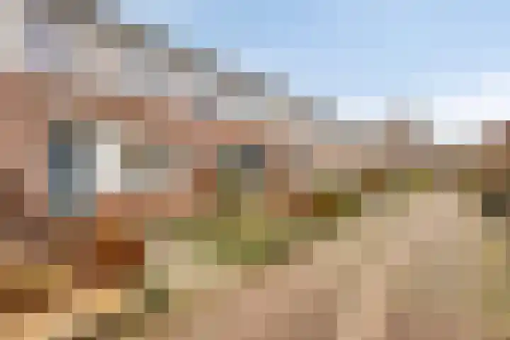 Klingendaal 3 Pijnacker thumbnail 6