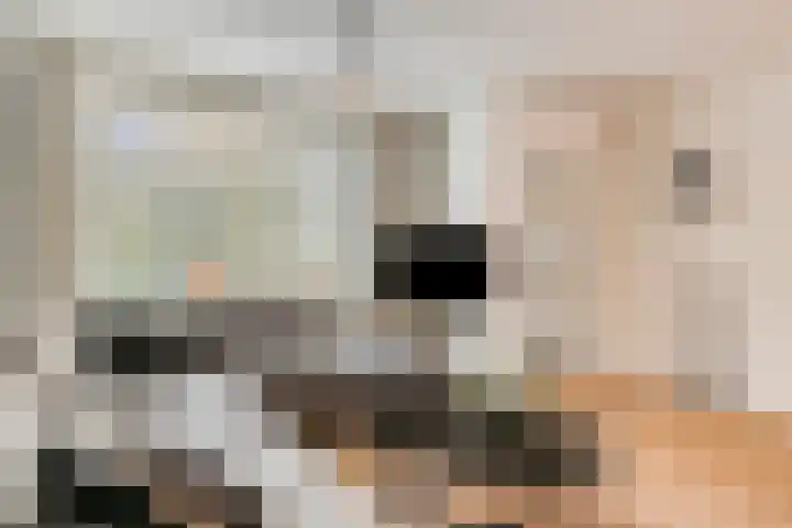 Klinkaart 3 Best thumbnail 15