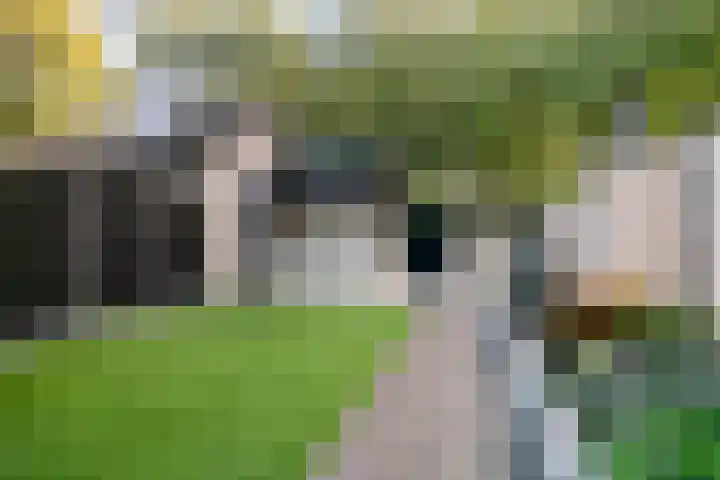 Klinkaart 3 Best thumbnail 44