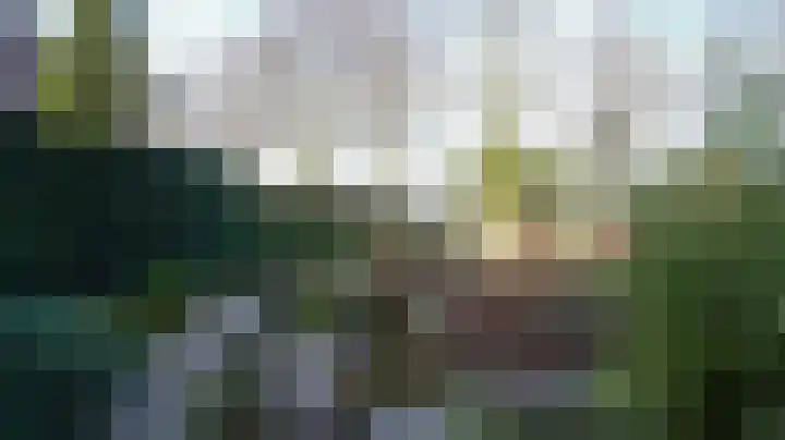 Klinkeberglaan 9 Beek thumbnail 48