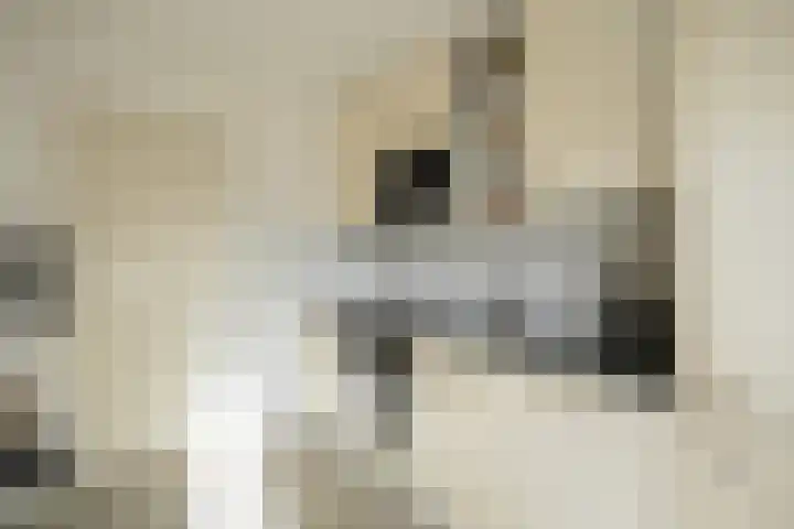 Klinkenburg 20 Epe thumbnail 10