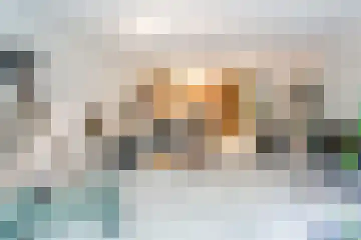 Klinkenburg 20 Epe thumbnail 6