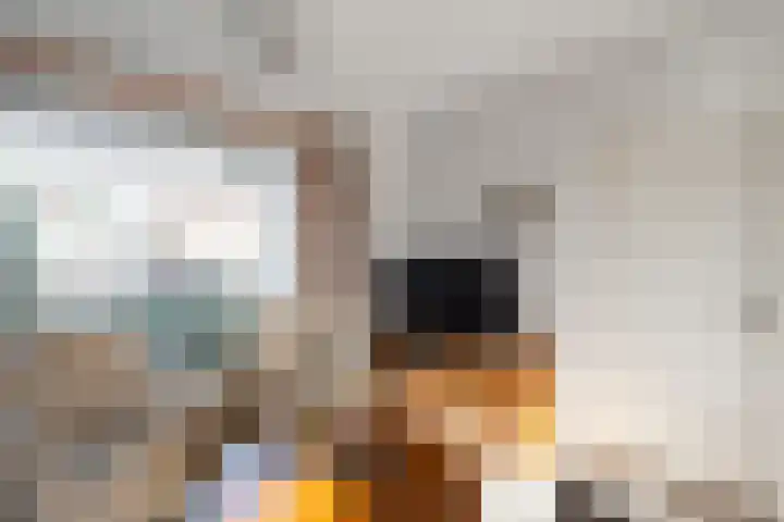 Klinkenburg 20 Epe thumbnail 6