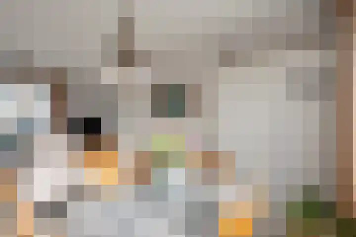 Klinkenburg 20 Epe thumbnail 8