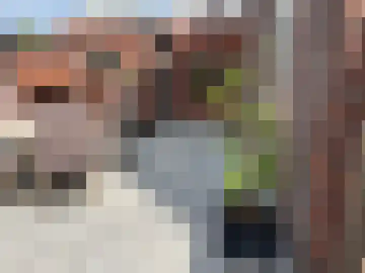 Klinkerhof 3 Deurne thumbnail 10