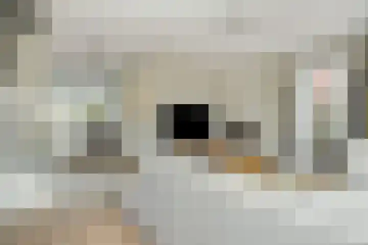 Klinkerhof 3 Deurne thumbnail 14
