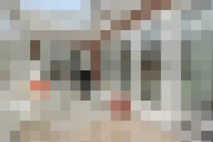 Klinkerhof 3 Deurne thumbnail 15
