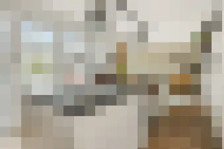 Klinkerhof 3 Deurne thumbnail 22