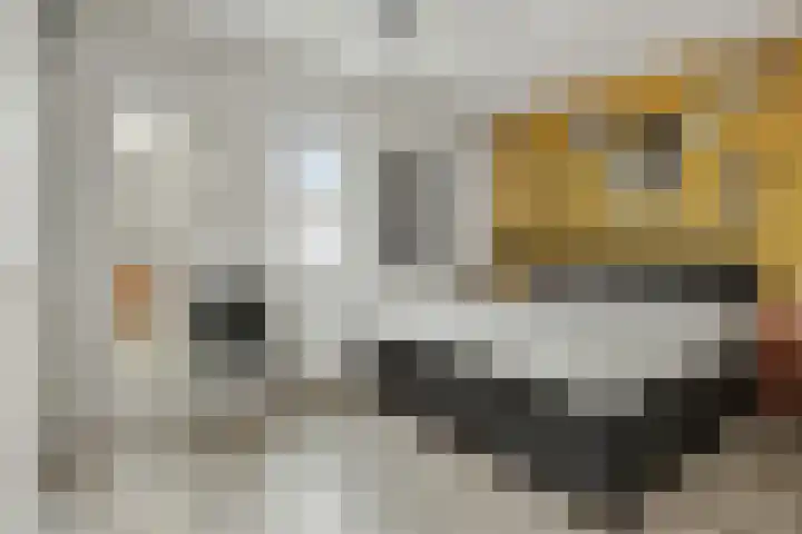 Klinkerhof 3 Deurne thumbnail 27