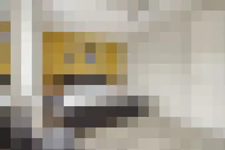 Klinkerhof 3 Deurne thumbnail 28