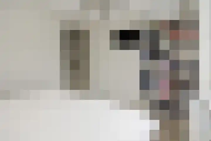 Klinkerhof 3 Deurne thumbnail 29
