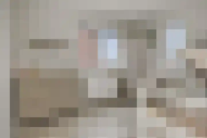 Klinkerhof 3 Deurne thumbnail 30