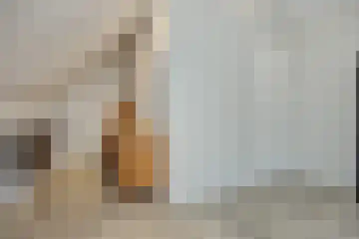 Klinkerhof 3 Deurne thumbnail 34