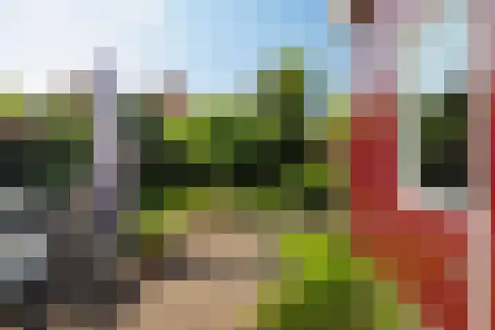 Klinkerhof 3 Deurne thumbnail 37