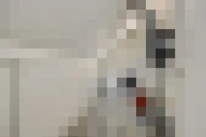 Klinkerhof 3 Deurne thumbnail 37