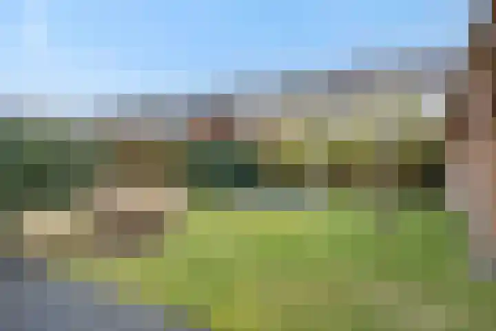 Klinkerhof 3 Deurne thumbnail 39