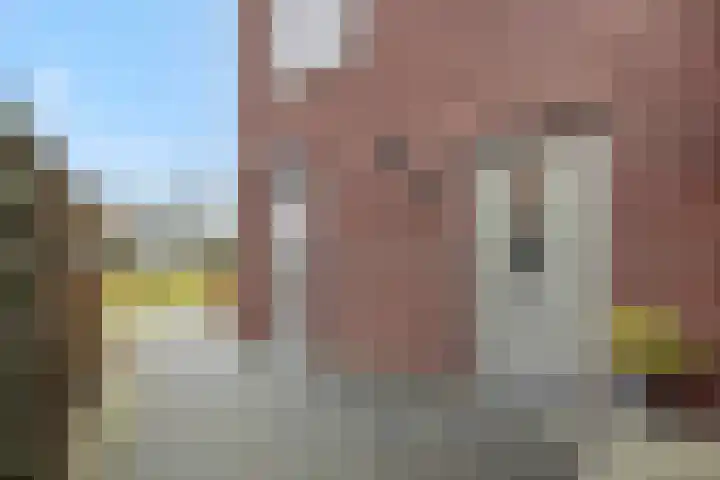 Klinkerhof 3 Deurne thumbnail 7