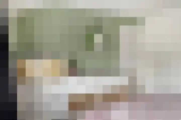 Klinkerstraat 25 Clinge thumbnail 16