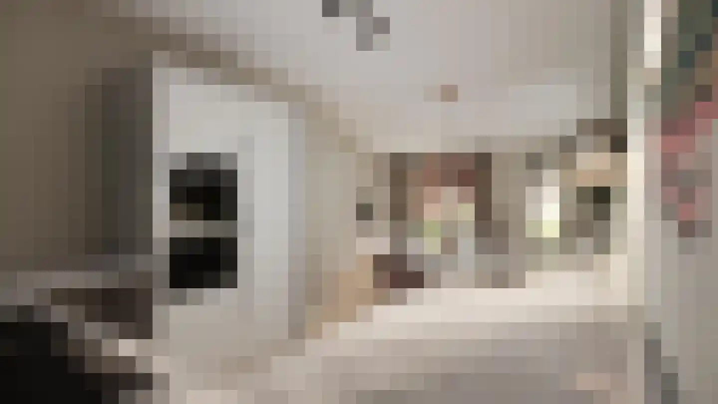 Klinkerstraat 31 Clinge thumbnail 16