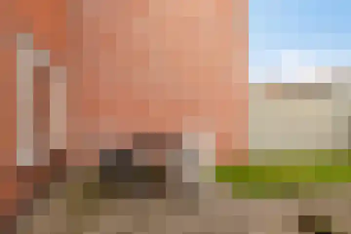 Klinkerstraat 32 Clinge thumbnail 27