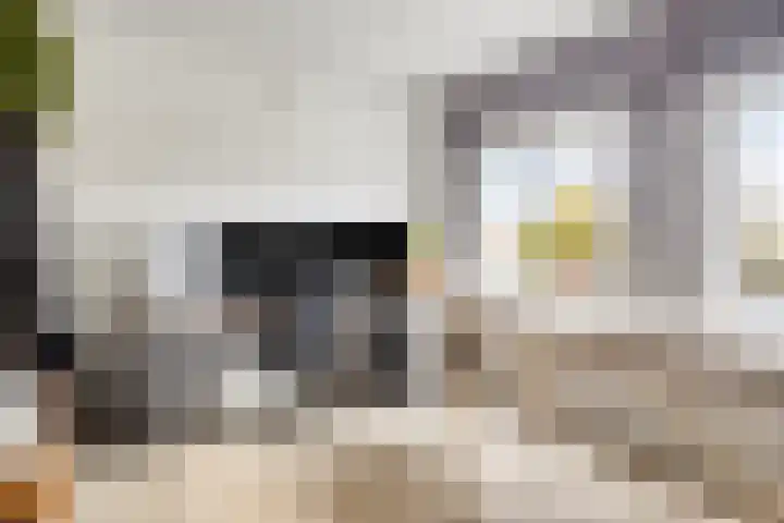 Klinkerstraat 8 A Clinge thumbnail 20