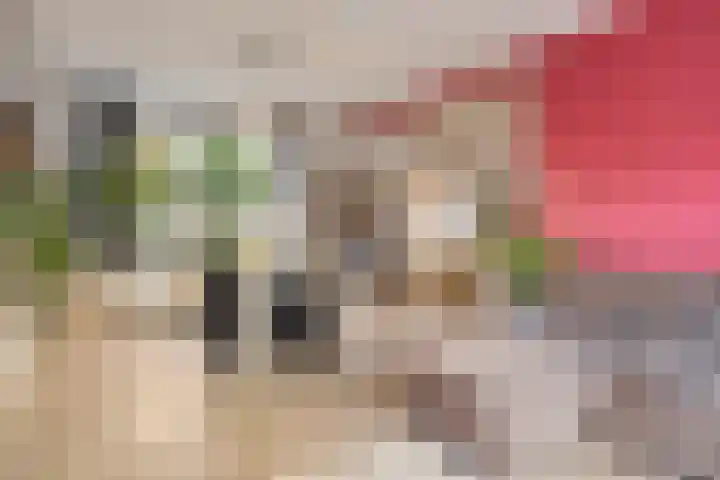 Klinkerstraat 8 A Clinge thumbnail 6