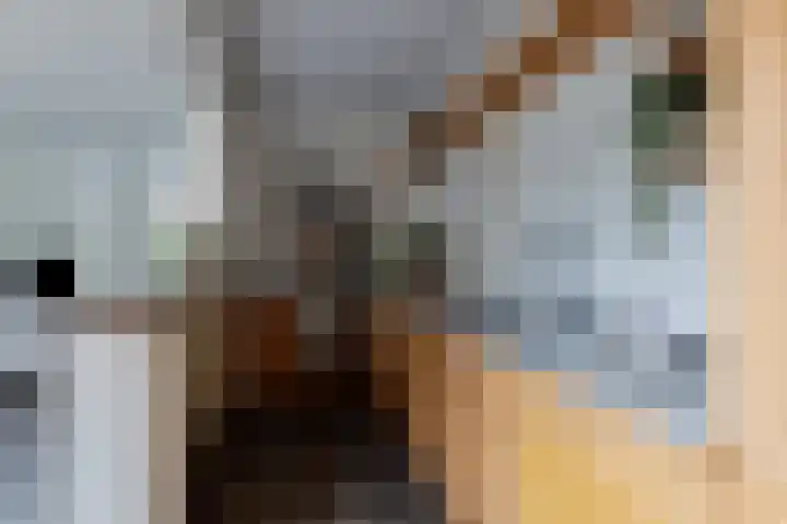 Klinkert 4 Wouw thumbnail 14