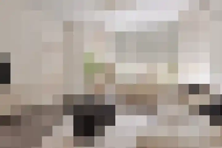 Klinkert 4 Wouw thumbnail 4