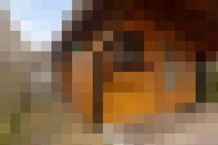 Klinkert 4 Wouw thumbnail 42