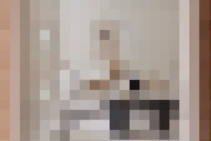 Klinkert 4 Wouw thumbnail 5