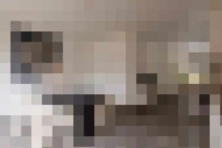 Klinkert 4 Wouw thumbnail 8