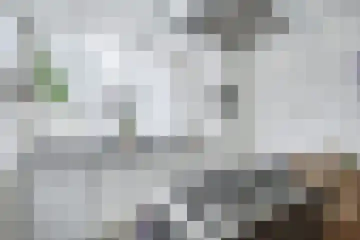 Klip 143 Lelystad thumbnail 11