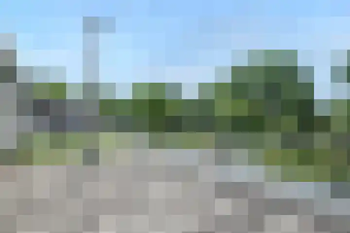 Klip 143 Lelystad thumbnail 35