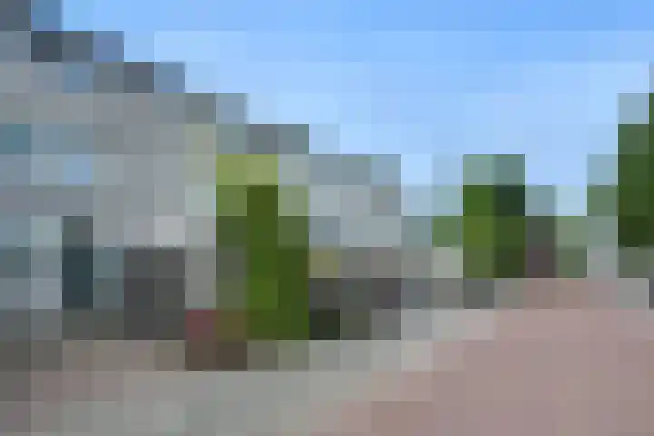 Klip 143 Lelystad thumbnail 40