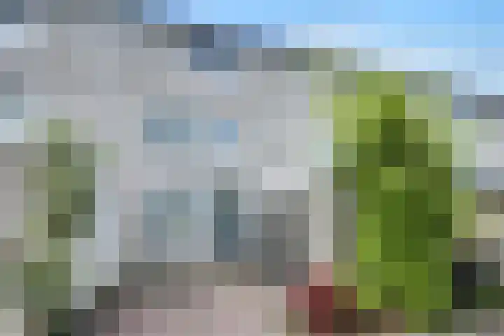 Klip 143 Lelystad thumbnail 41