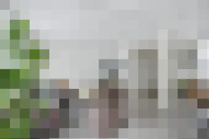 Klip 143 Lelystad thumbnail 8