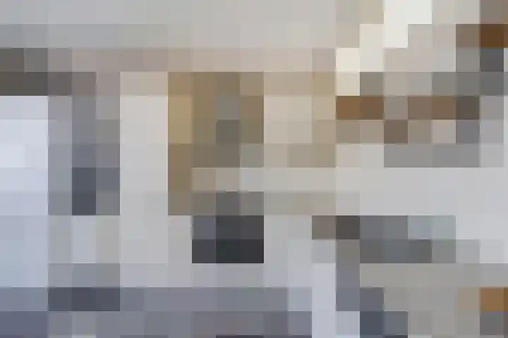Klip 42 Lelystad thumbnail 13
