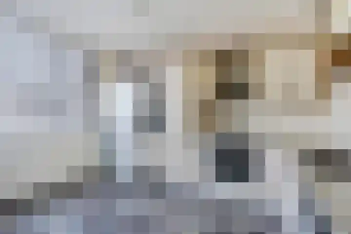Klip 42 Lelystad thumbnail 14