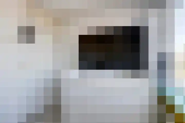 Klip 42 Lelystad thumbnail 20