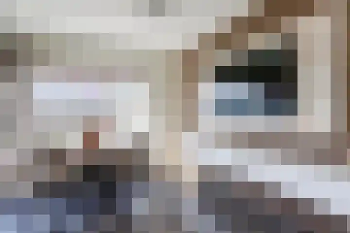 Klip 42 Lelystad thumbnail 8
