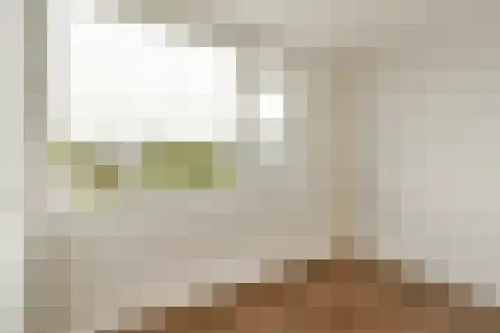 Klip 60 Lelystad thumbnail 22