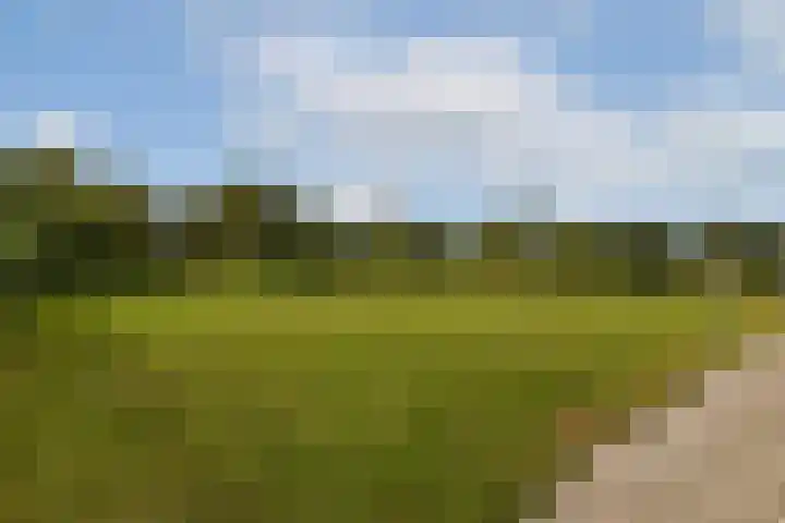 Klip 60 Lelystad thumbnail 28