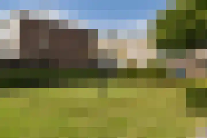 Klip 60 Lelystad thumbnail 29