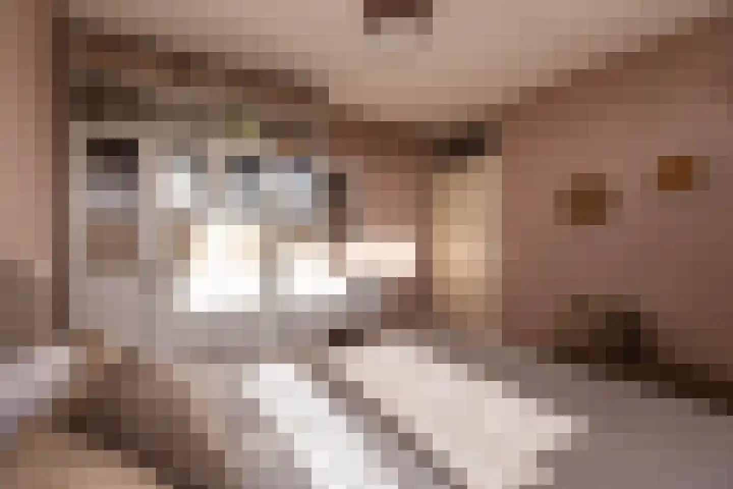 Klipper 1 De Rijp thumbnail 17
