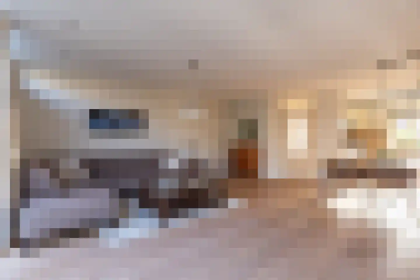 Klipper 1 De Rijp foto 3