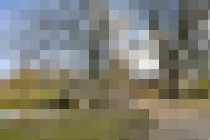 Klipper 1 Schiedam thumbnail 27