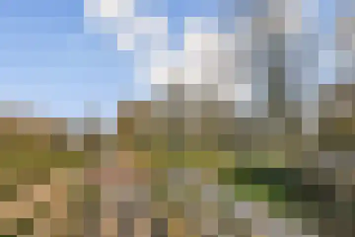 Klipper 1 Schiedam thumbnail 29